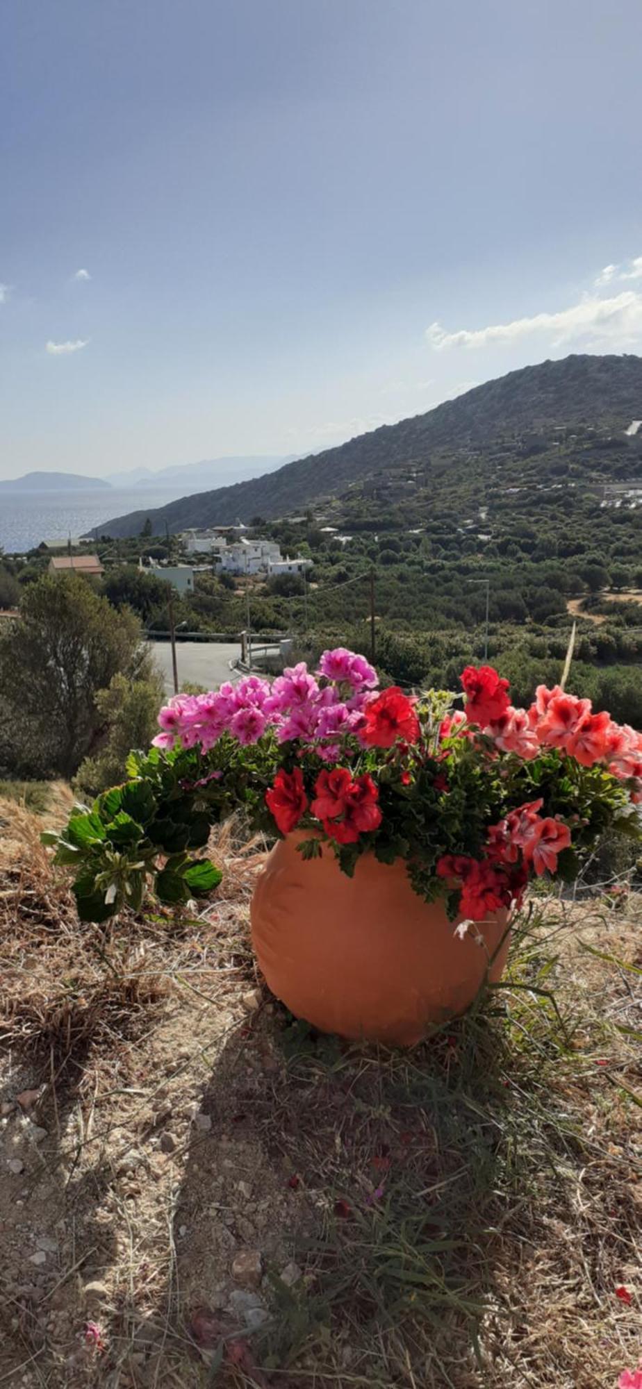 Hari Apartments Vathi, Agios Nikolaos Crete Екстериор снимка