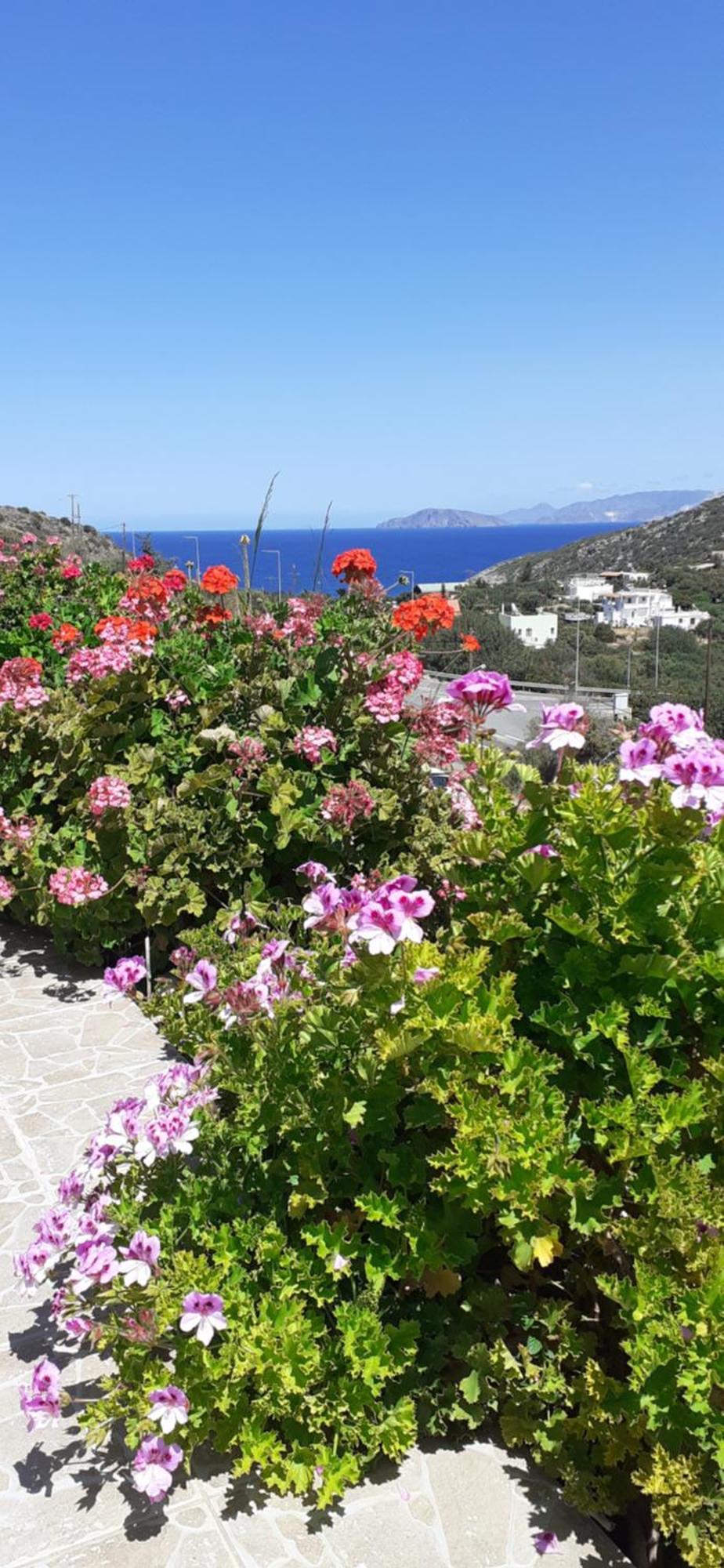 Hari Apartments Vathi, Agios Nikolaos Crete Екстериор снимка