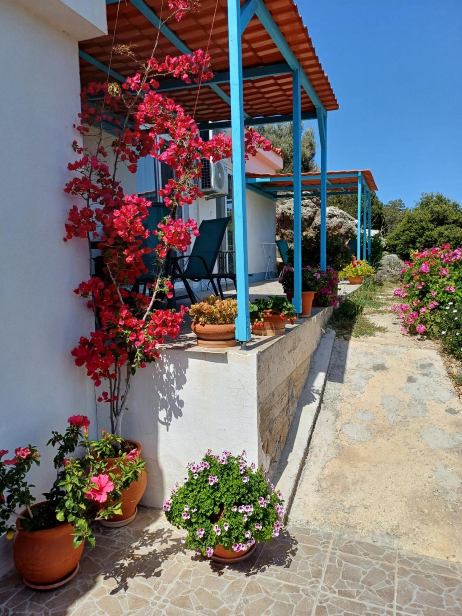 Hari Apartments Vathi, Agios Nikolaos Crete Екстериор снимка